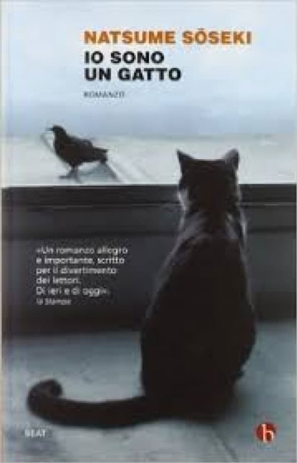 Io sono un gatto