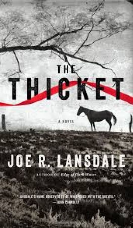 The Thicket (la foresta)