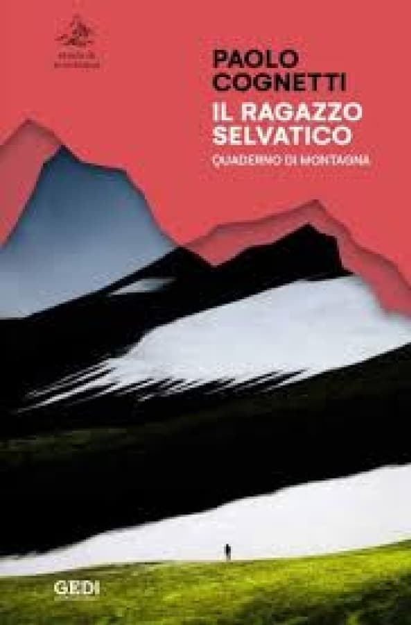 Il ragazzo selvatico: quaderno di montagna