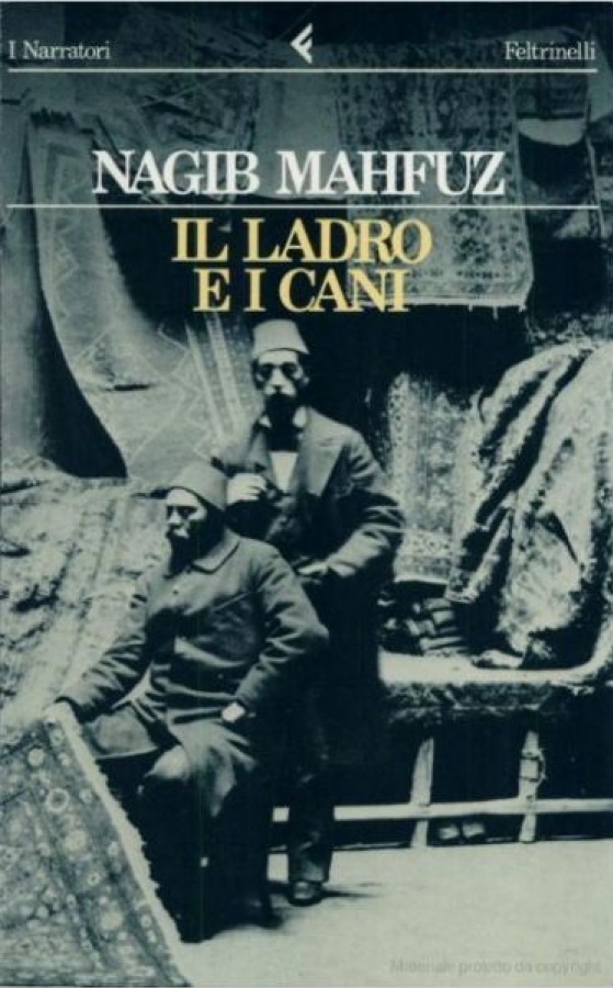 Il ladro e i cani