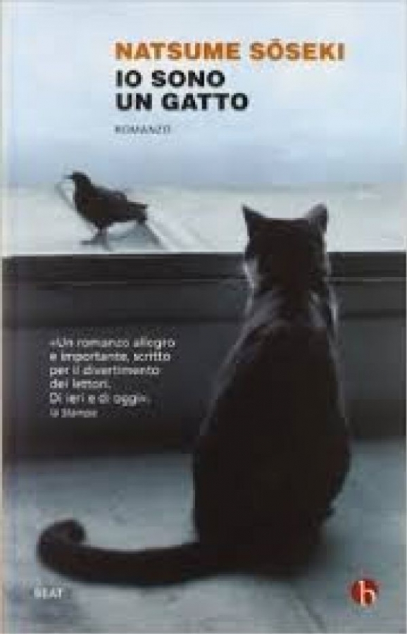 Io sono un gatto