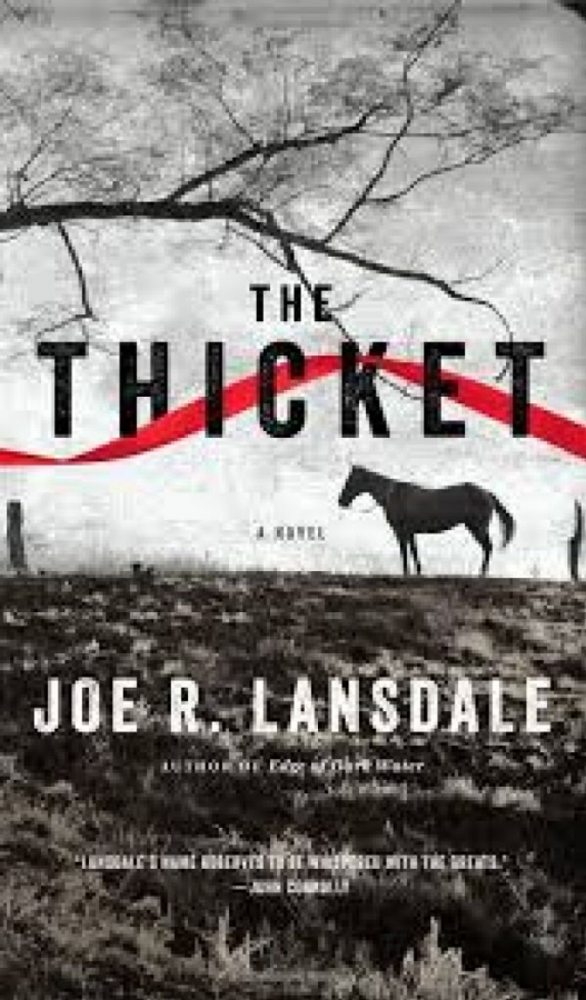 The Thicket (la foresta)