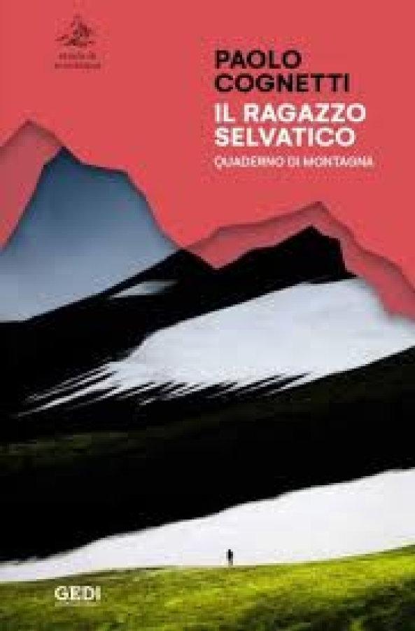 Il ragazzo selvatico: quaderno di montagna